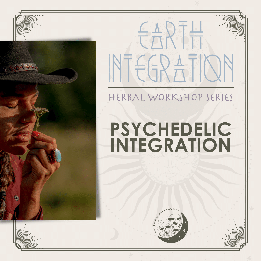 Psychedelic Integration: An Herbalist’s Approach to Lasting Transformation