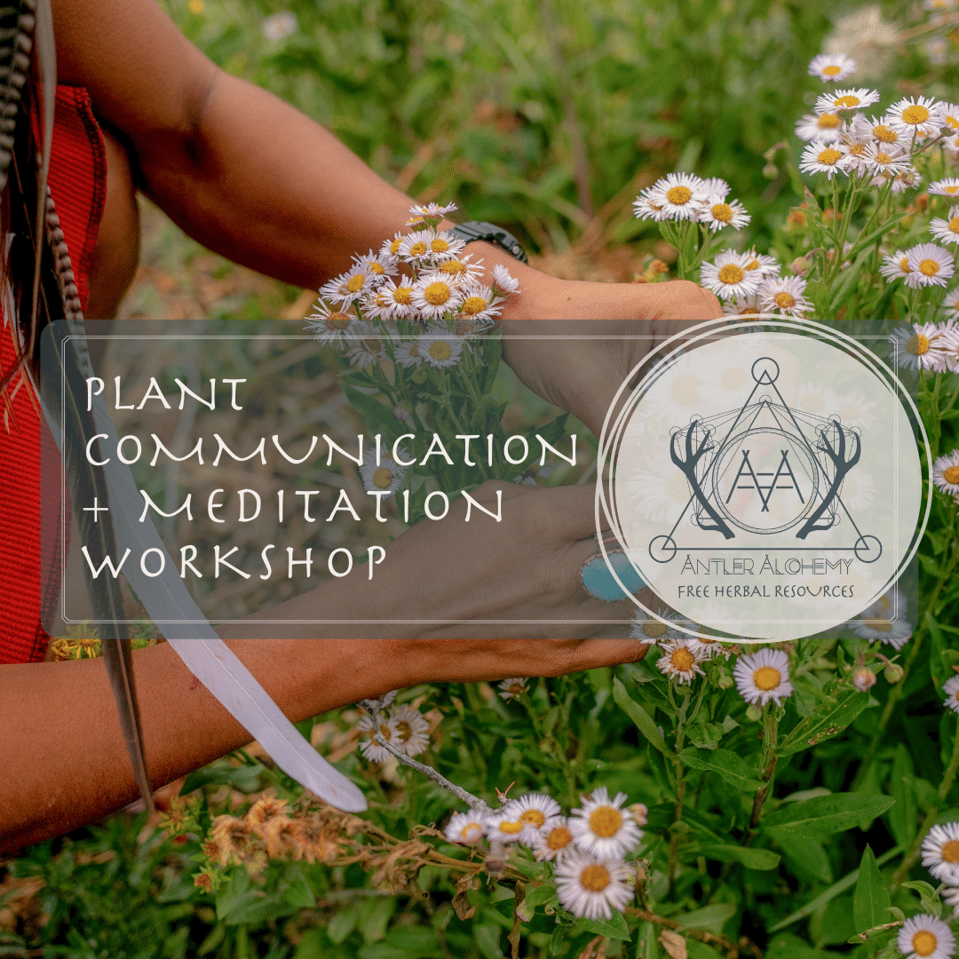 Plant Communication + Meditation Workshop