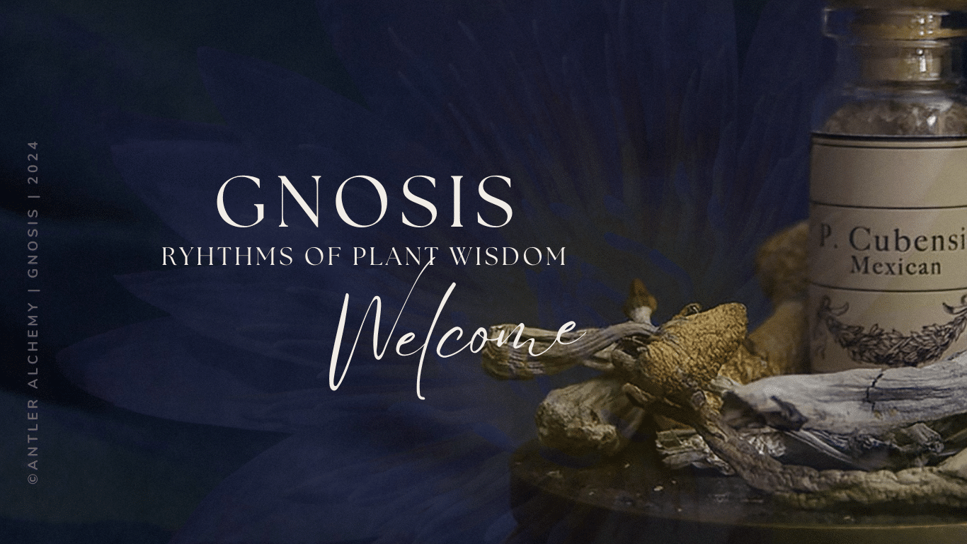 Gnosis: Rhythms of Plant Wisdom